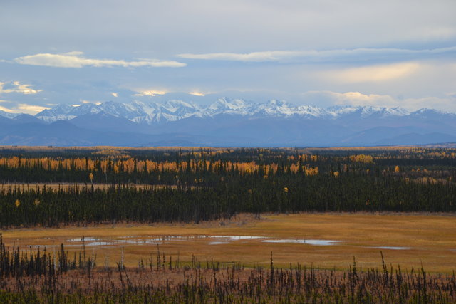 Alaska, Tetlin national wildlife refuge